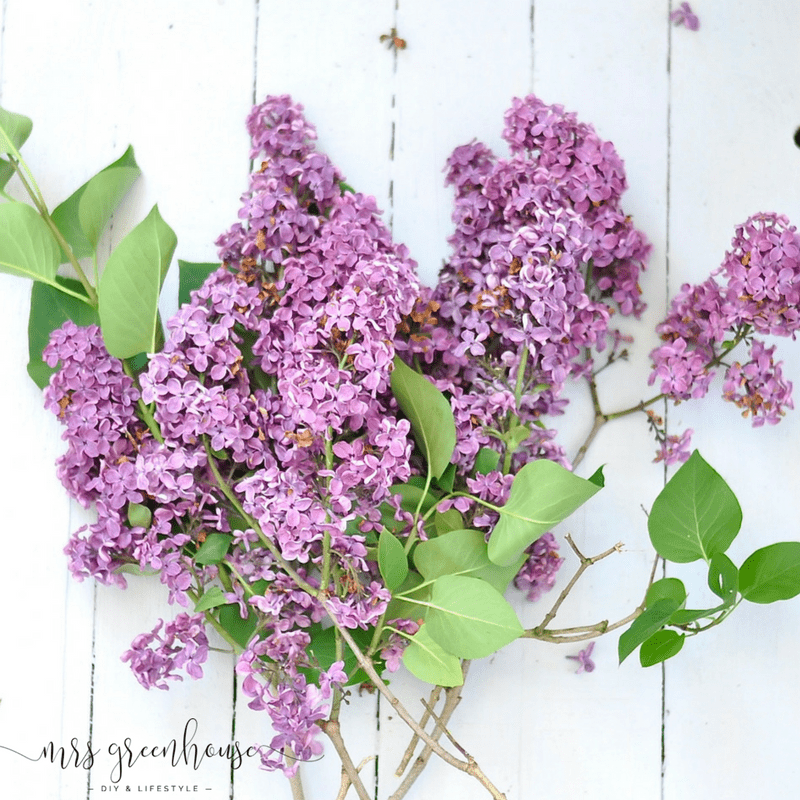 DIY - Ein romantischer Fliederkranz aus dem Garten und eine zarte Tischdekoration aus Hortensienblüten