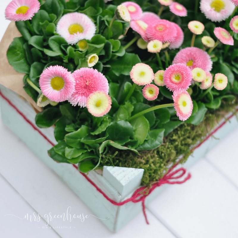 Blumengrüße in der Obstkiste - Frühlings-Upcycling-DIY