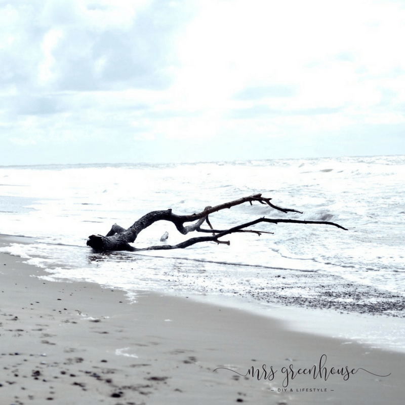Ferien in Dänemark und feine Mandalas auf Steine malen
