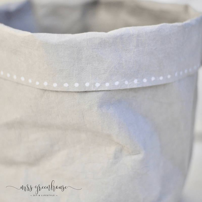 Neuer Pflanztopf für den Eukalyptus - ein DIY aus SnapPap