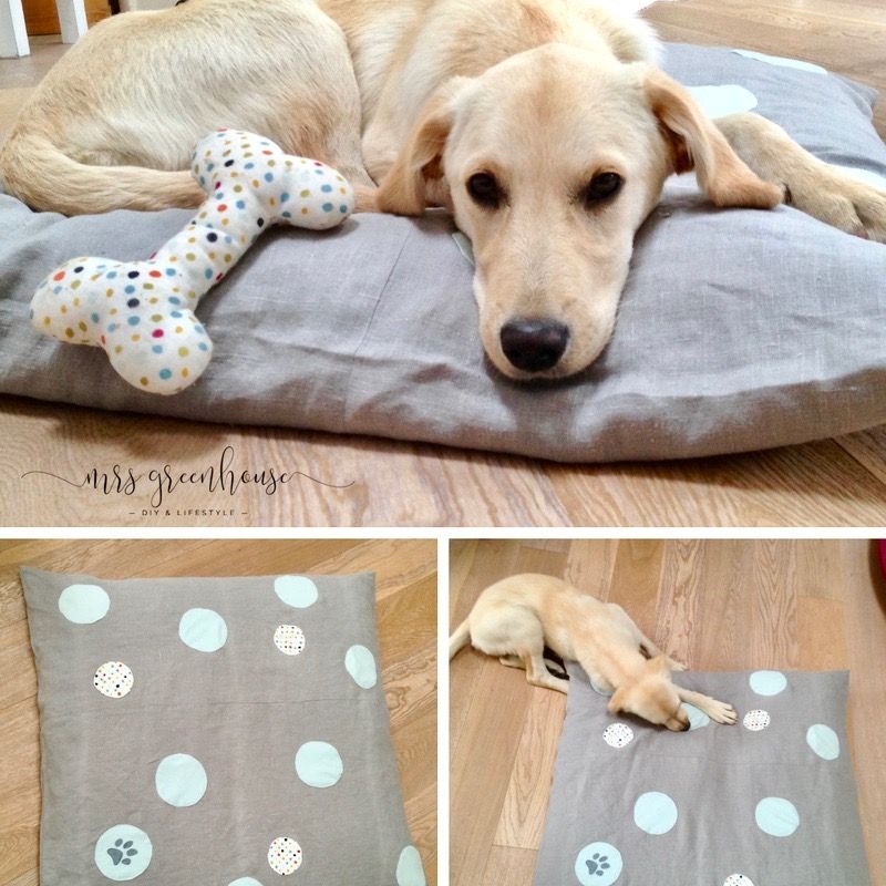 Hundekissen mit Punkten selbermachen