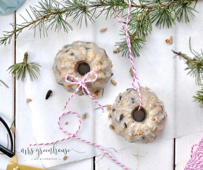 Küchlein für die Gartenvögel - selbstgemachtes Vogelfutter