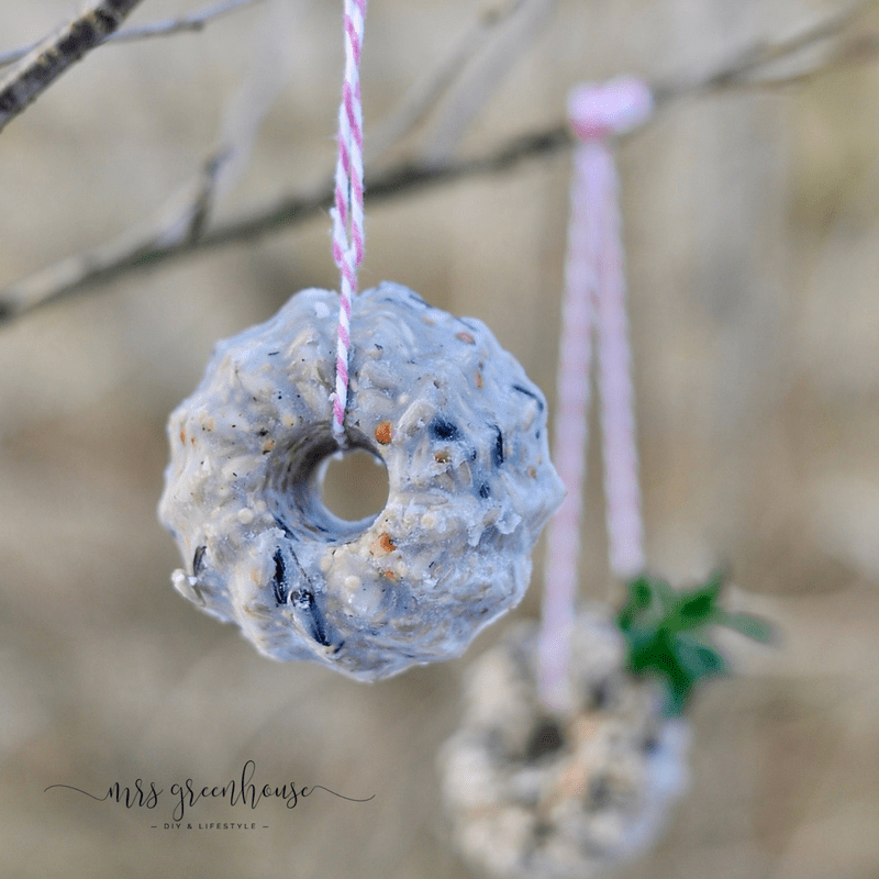Küchlein für die Gartenvögel - selbstgemachtes Vogelfutter