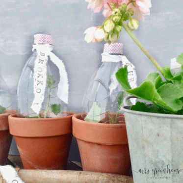 Mini-Greenhouse in 5 Minuten selbermachen