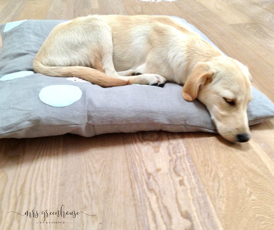 Hundekissen und Hundeknochen selbstgenht mit Anleitung