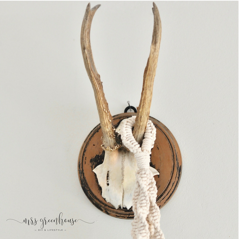 Eine Macramé-Blumenampel