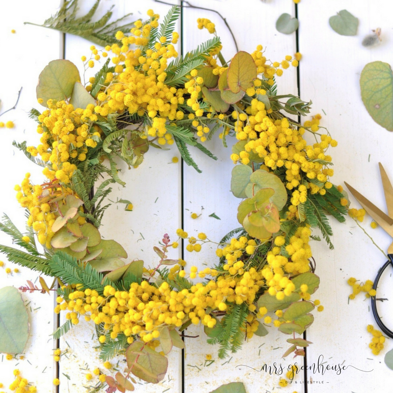 Mimosenkranz und Flower Ladies
