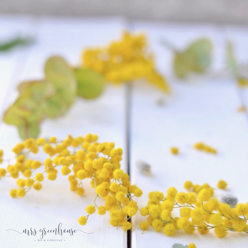 Mimosenkranz und Flower Ladies
