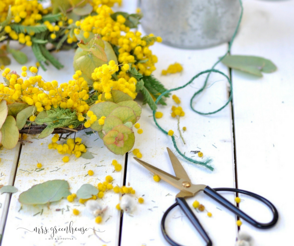 Mimosenkranz und Flower Ladies