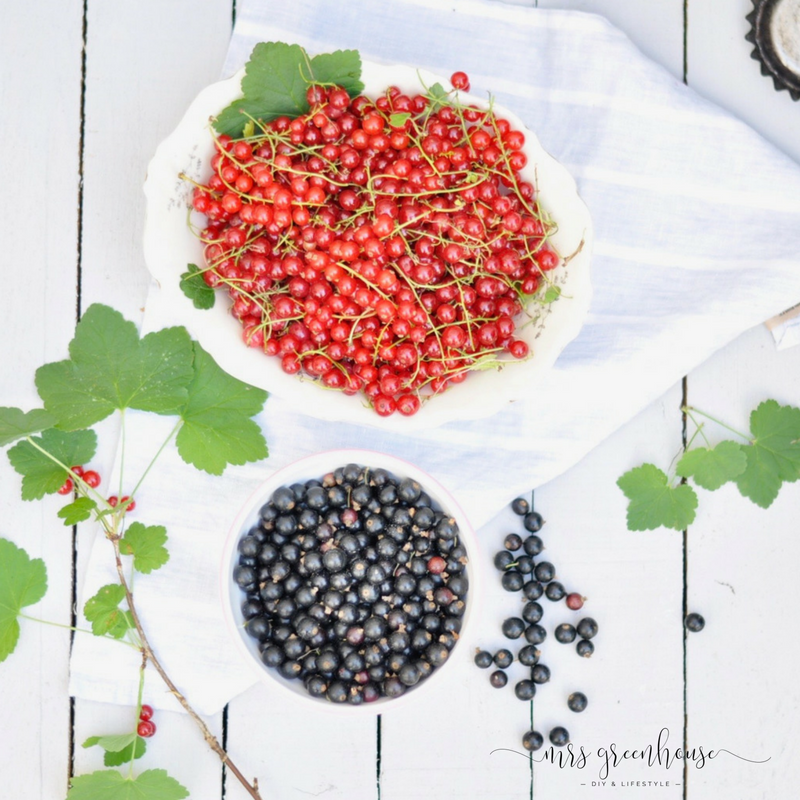 Johannisbeertarte und die wilde Walachei