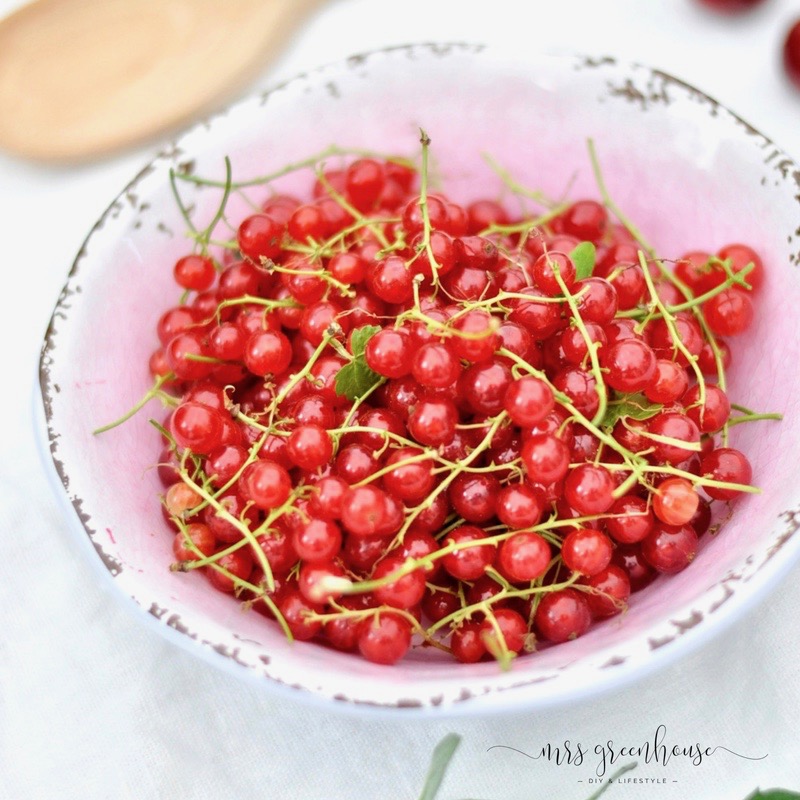 Johannisbeertarte und die wilde Walachei