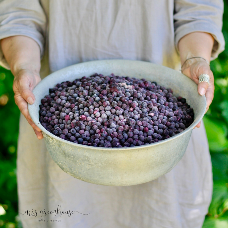 Mit Pflanzen färben