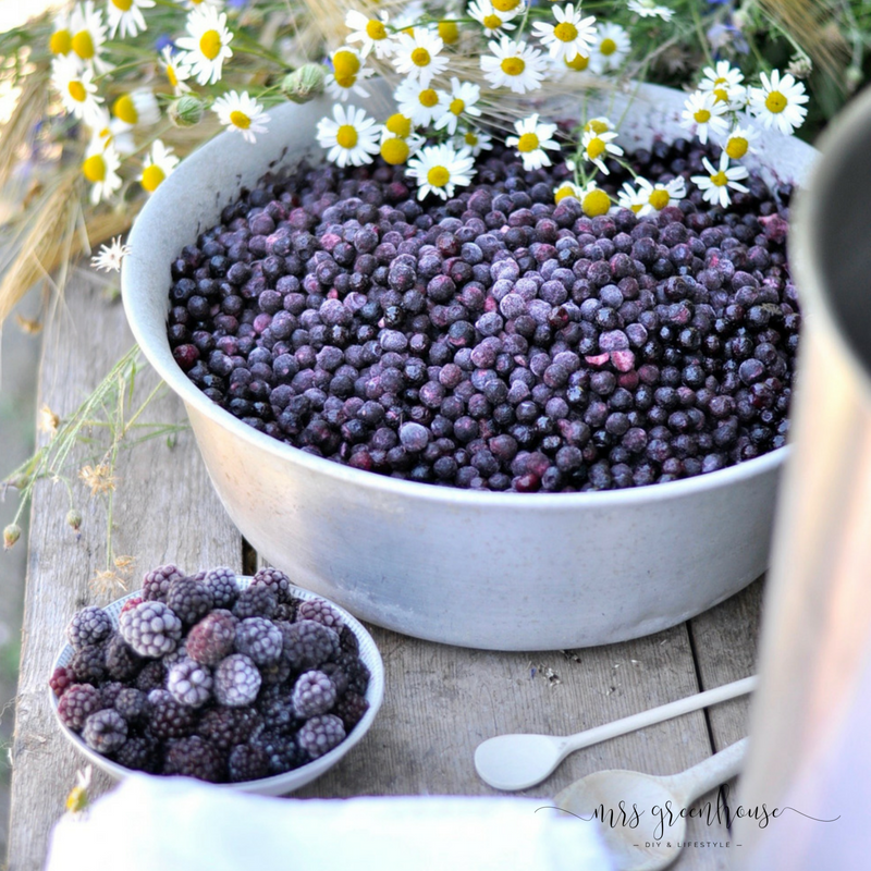 Mit Pflanzen färben