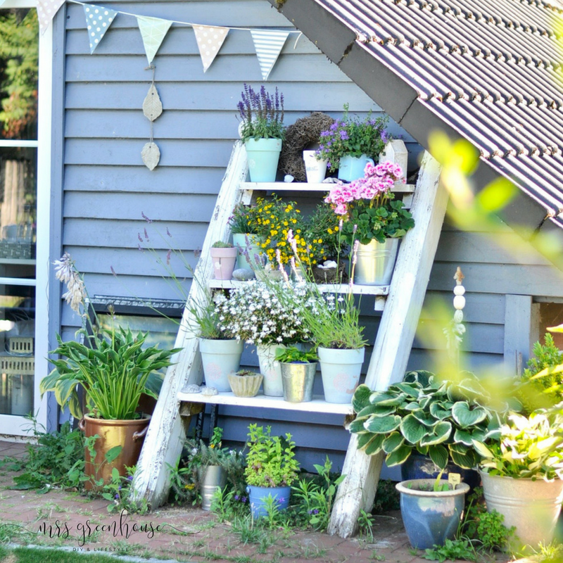 Mit Pflanzen färben