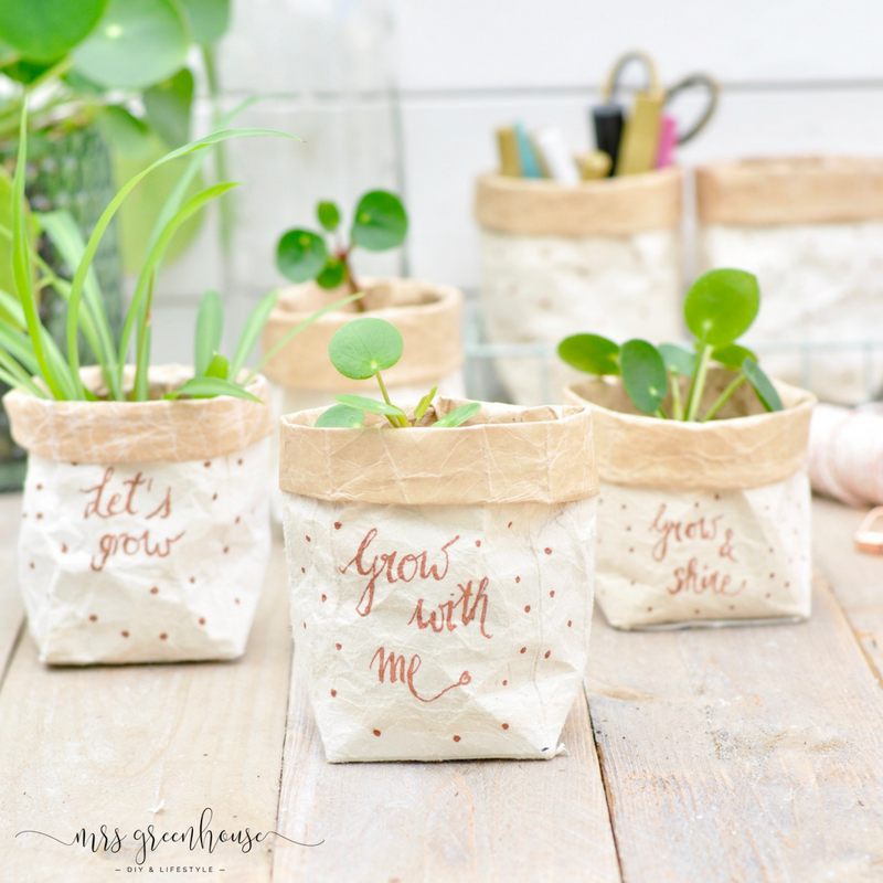 Milchtuten Upcycling Diy Fur Kleine Pflanztopfe Auf Mrsgreenhouse De