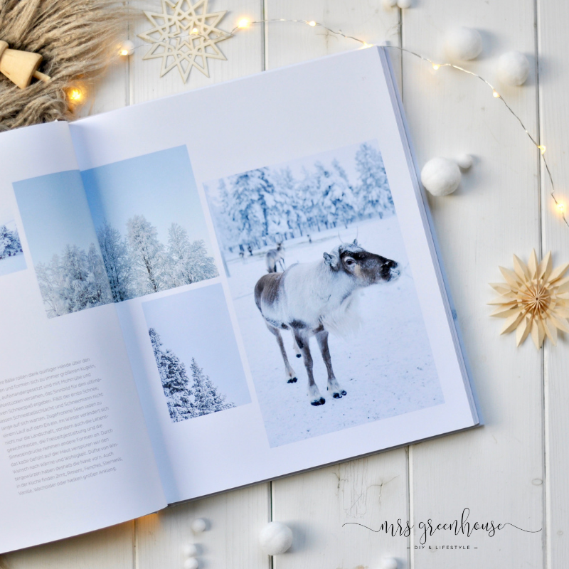 DIY Weihnachtssterne falten