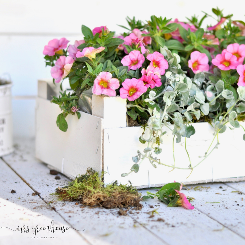 Blumengeschenk zum Muttertag