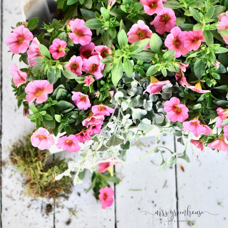 Blumengeschenk zum Muttertag