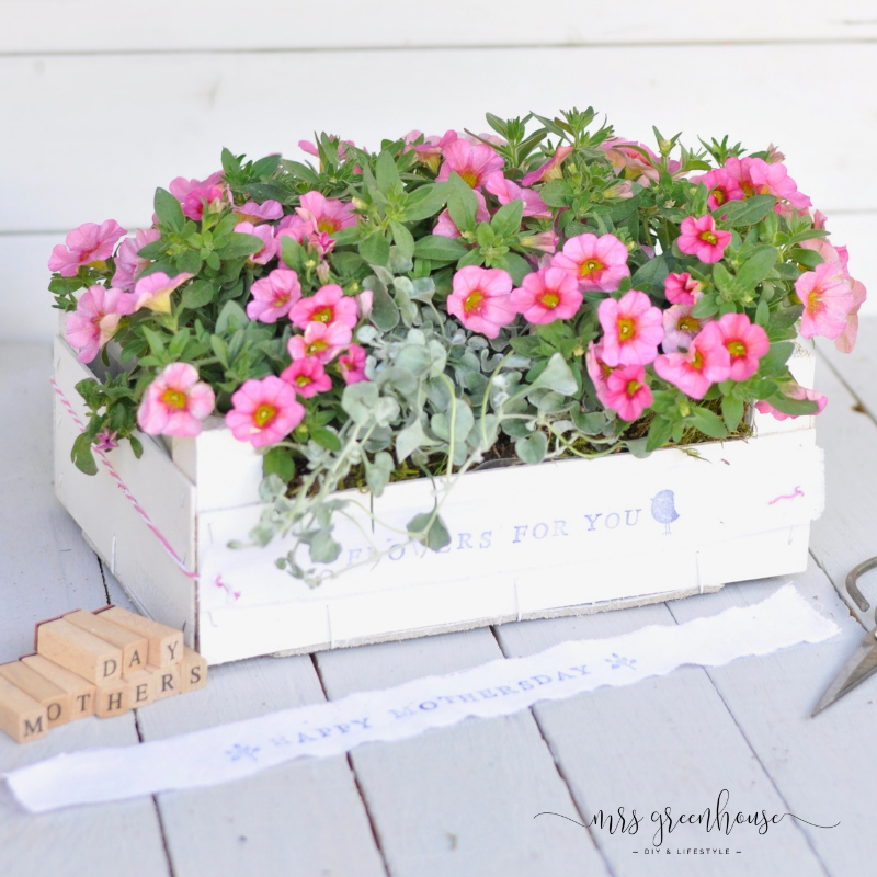 Blumengeschenk zum Muttertag