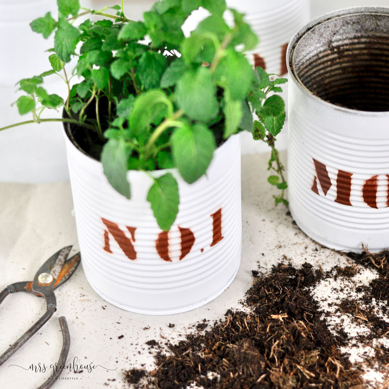 DIY Dosen-upcycling für coole Pflanztöpfe