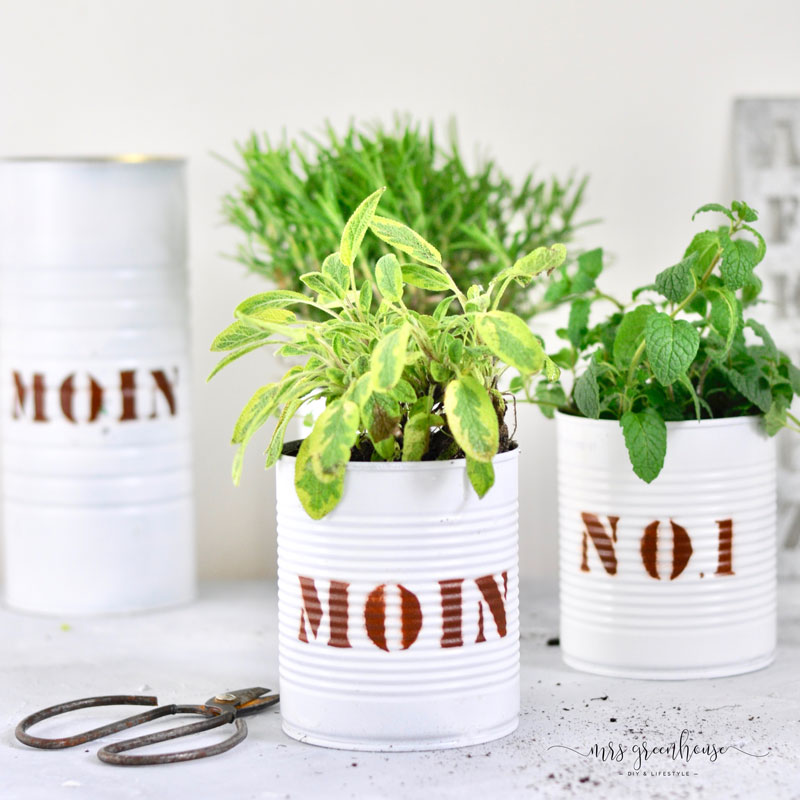 DIY Dosen-upcycling für coole Pflanztöpfe