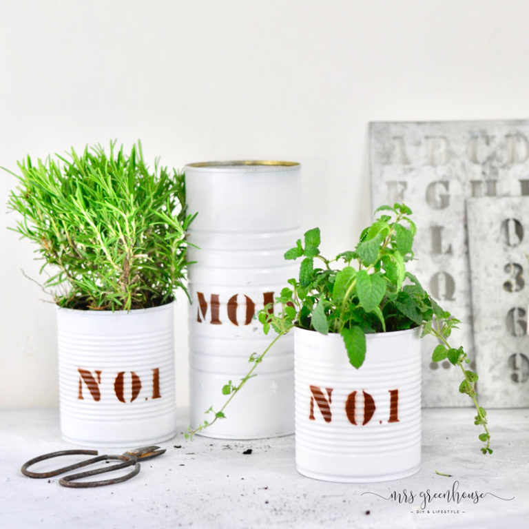 Dosen Upcycling Diy F R Coole Pflanzt Pfe Mrsgreenhouse