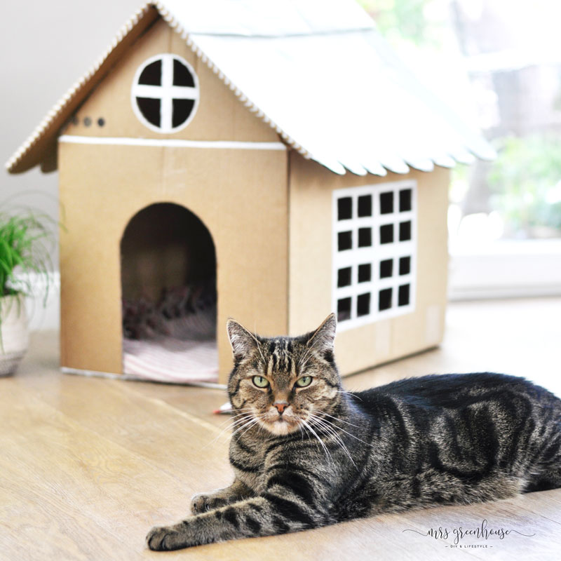 Katzenhaus aus Pappe bauen mit Anleitung auf mrsgreenhouse.de