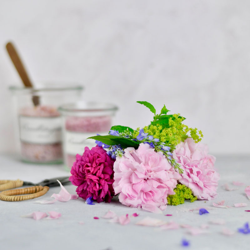 Rosenblüten für Roenblütenzucker