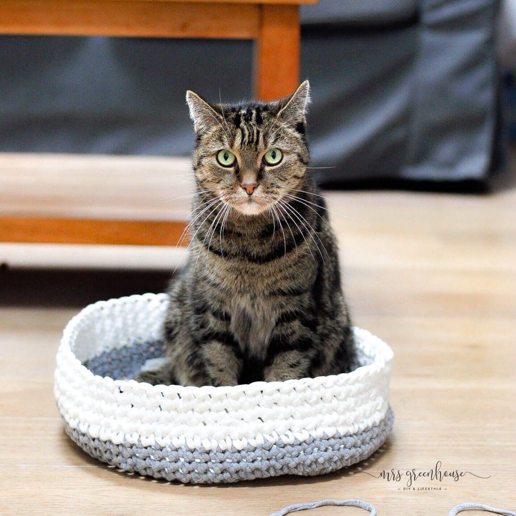 DIY Katzenkorb