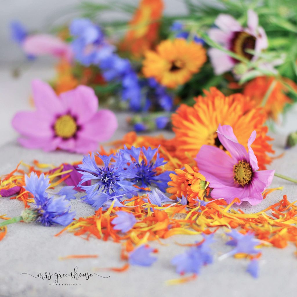 Ringelblumen, Kornblumen