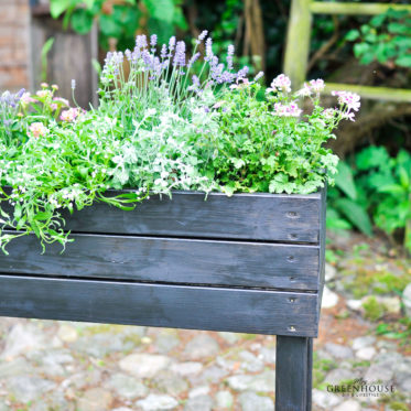 Hochbeet mit Duftblumen