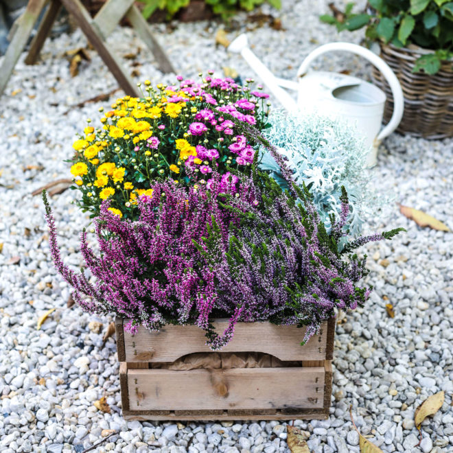 DIY Fenster aus Zweigen basteln und mit herbstlichen