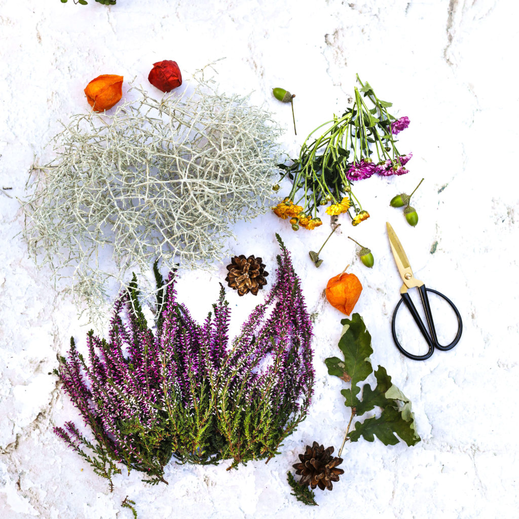 Pflanzen für Holzrahmen Der