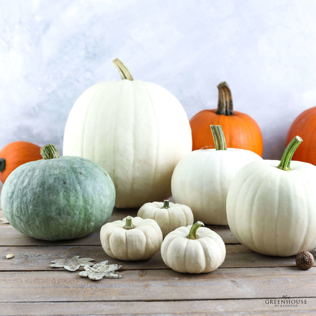 Kürbisse für die Herbstdeko