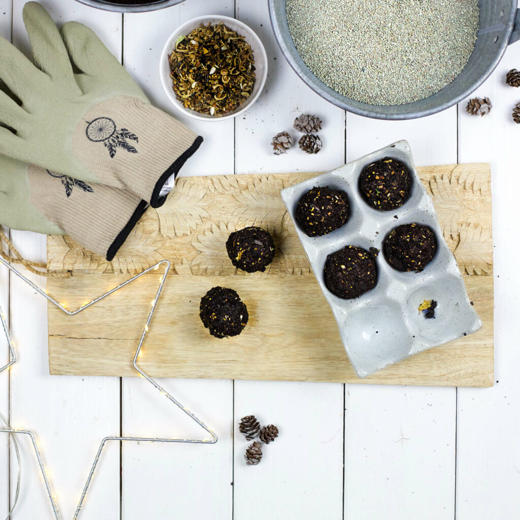 Seedbombs herstellen