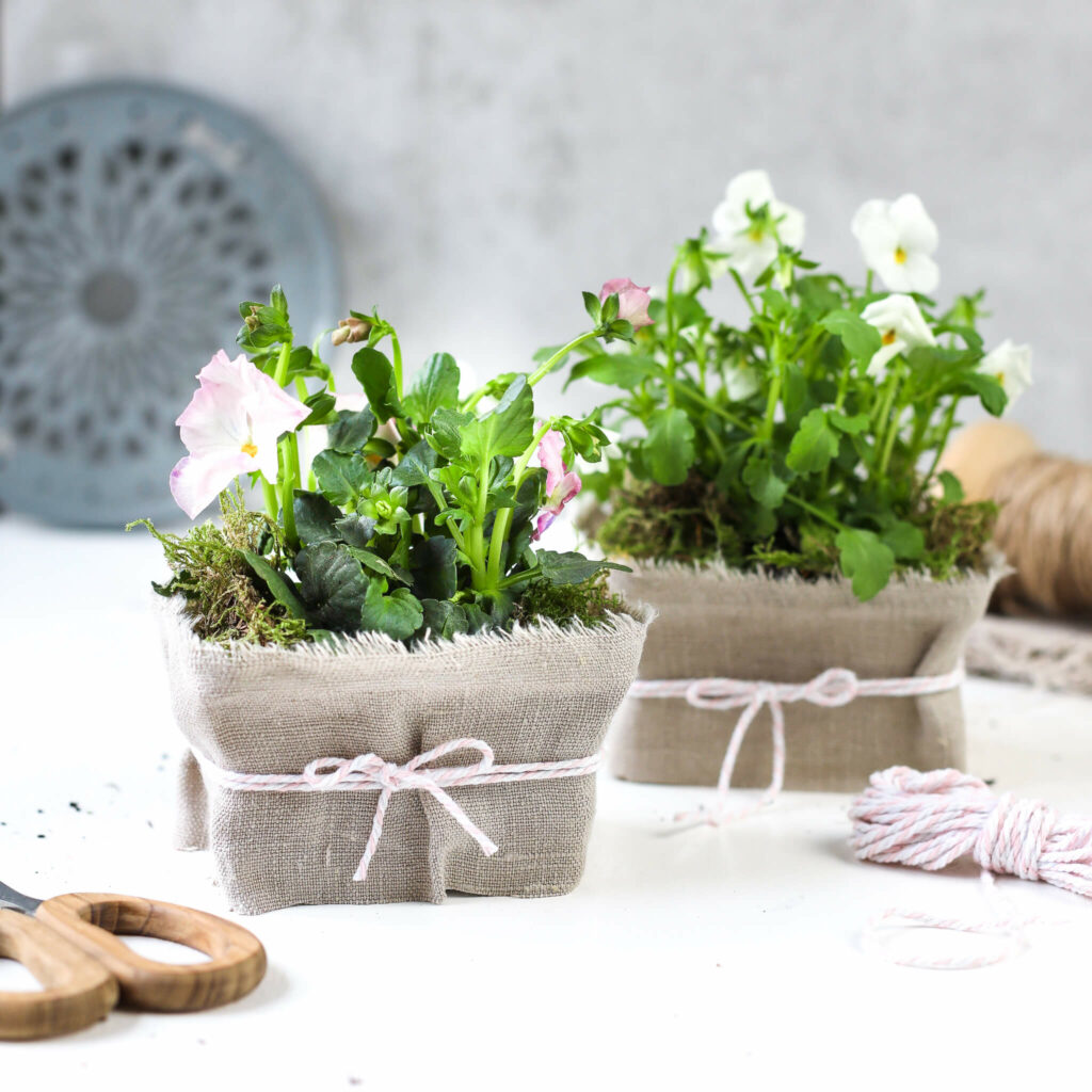Blumendeko mit Butterschmalz Verpackung