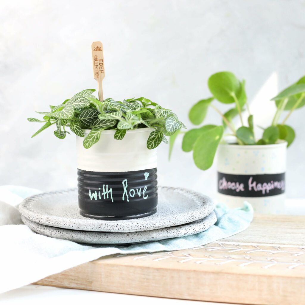 DIY Pflanztöpfchen aus Konservendosen mit Lack besprühen und mit Kreidemarkern verzieren