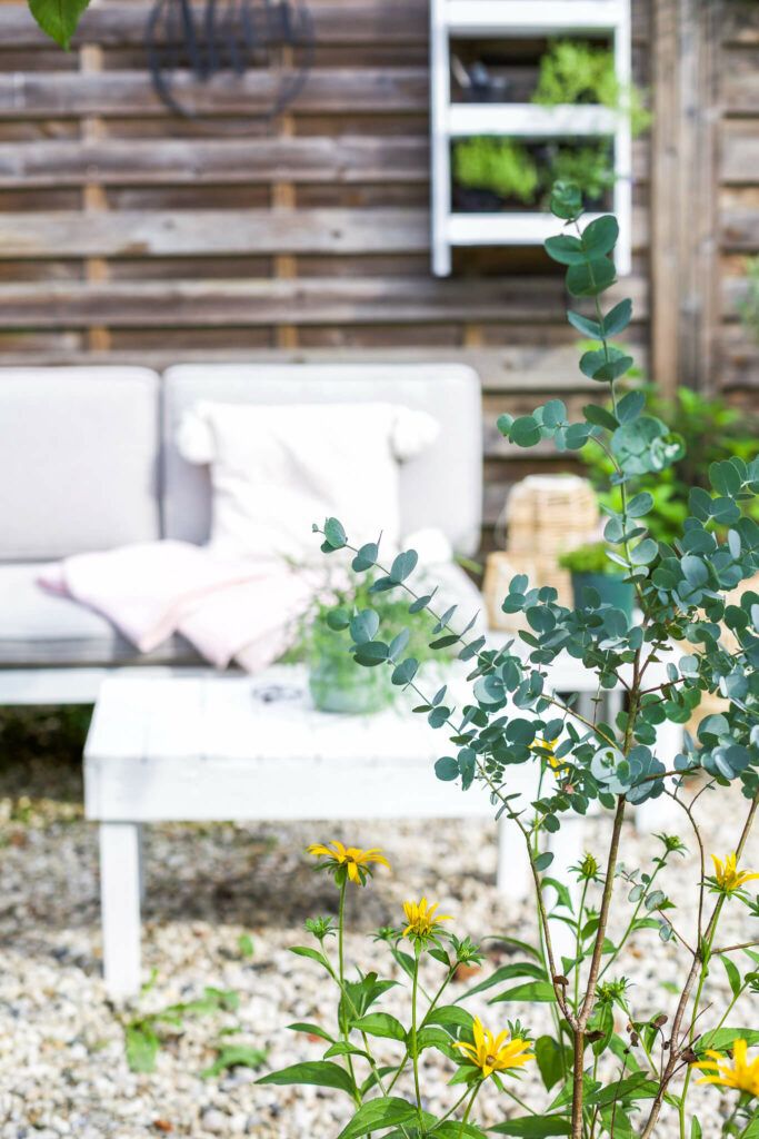 Kräuterregal selber bauen