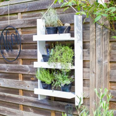 Kräuterregal selber bauen