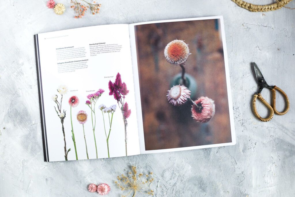 Buchtipp Trockenblumen