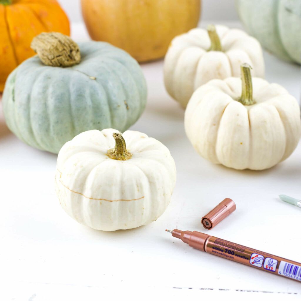 Kürbisse mit Blätterranken bemalen