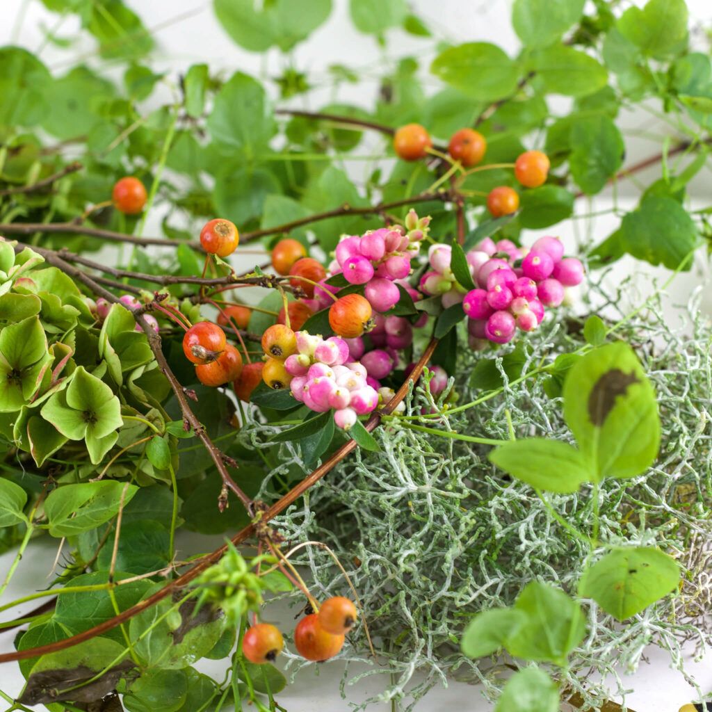 Grünes Dekomaterial für Kürbis Kranz