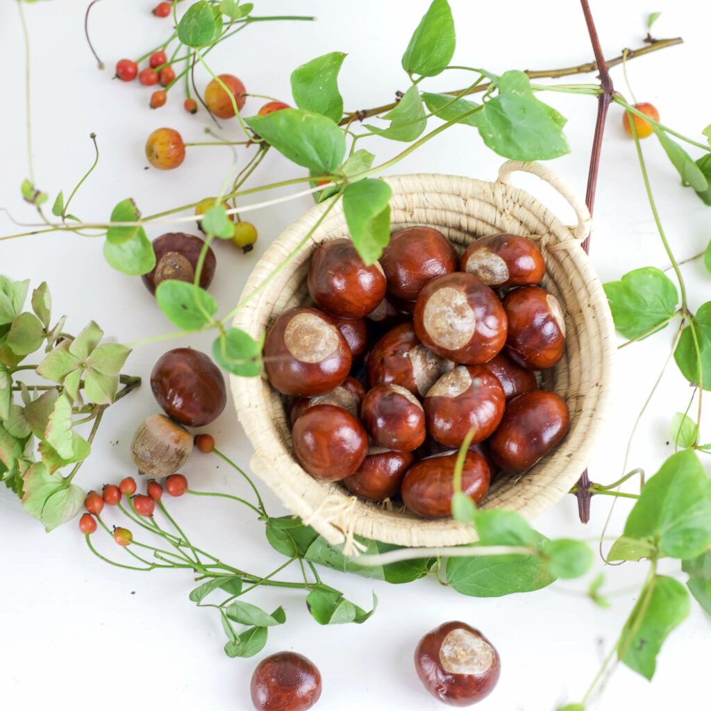 Kerzenglas mit Kastanien