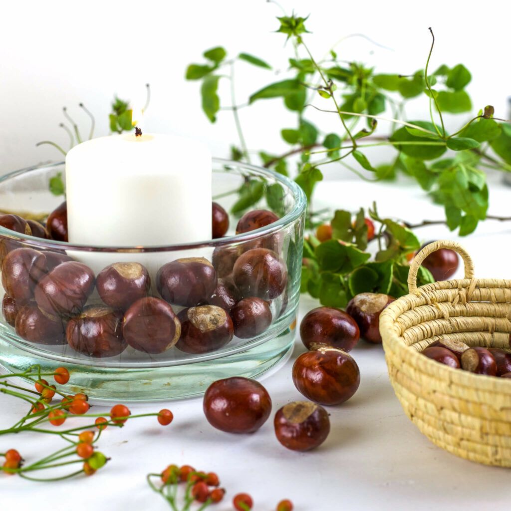 Kerzenglas mit Kastanien