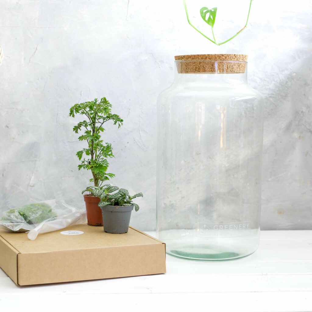 Flaschengarten anlegen