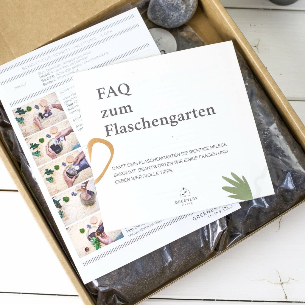 Einen Flaschengarten anlegen