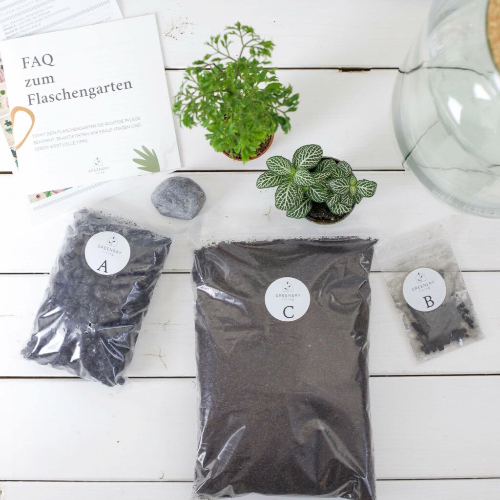 Einen Flaschengarten anlegen
