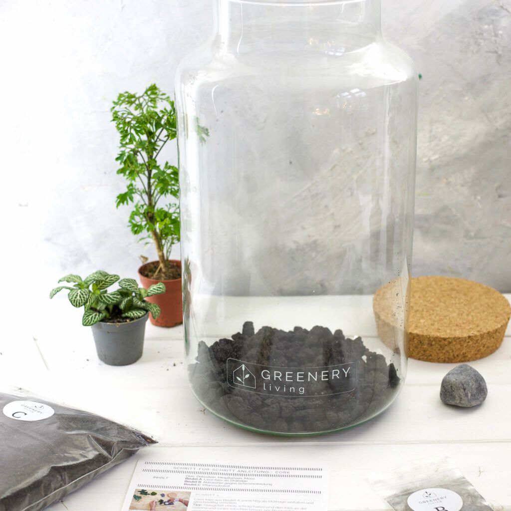 Einen Flaschengarten anlegen