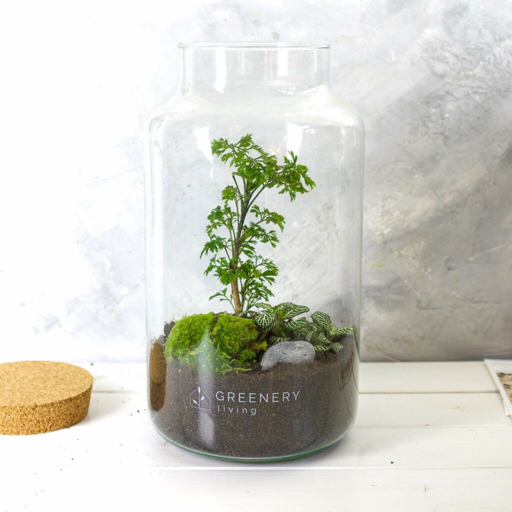 Einen Flaschengarten anlegen