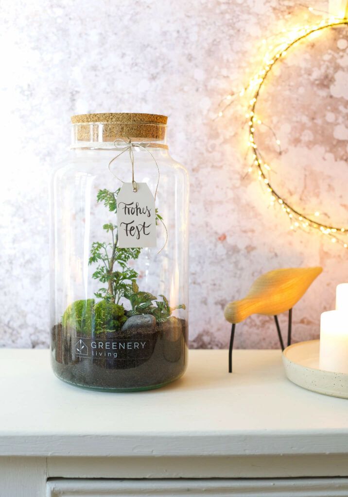 Einen Flaschengarten anlegen